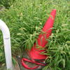 COOLPIX 3700ŎBeʐ^