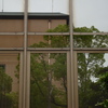 TCo[Vbg DSC-L1ŎBeʐ^