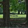 50-400mm F/4.5-6.3 Di III VC VXD (Model A067) [jRZp]ŎBeʐ^