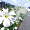 FinePix S9400WŎBeʐ^