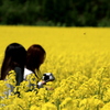 18-250mm F3.5-6.3 DC MACRO OS HSM [Lmp]ŎBeʐ^