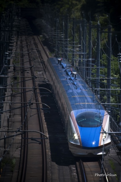 青い稲妻 by irikun （ID：4478051） 写真共有サイトPHOTOHITO