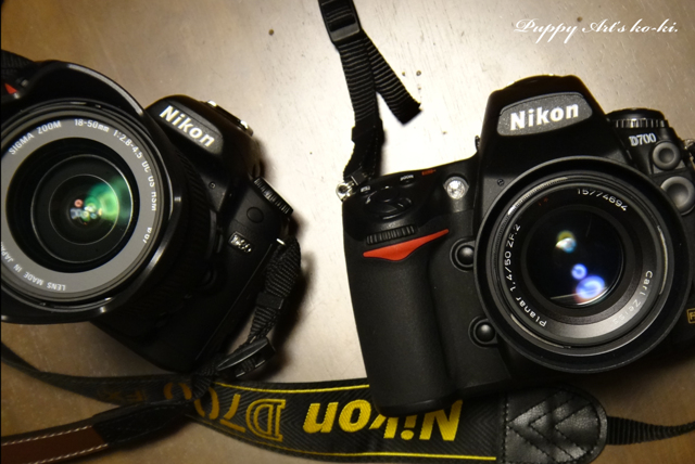 SONY Cyber-shot DSC-TX100V ブラック DSC-TX100V | デジタルスチルカメラ Cyber-shot