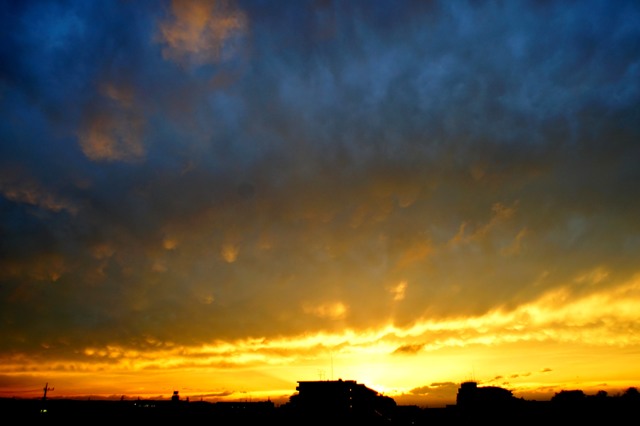 Flektogon 20mm F4 Carl Zeiss Jena DDR by たま407 (ID:4538404) 写真共有サイト