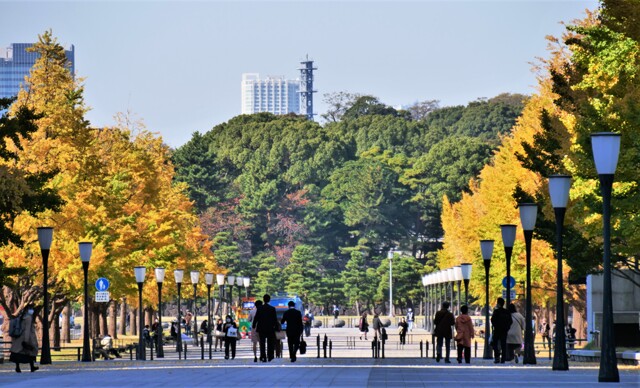 御幸通り by たま407 （ID：11439017） 写真共有サイトPHOTOHITO