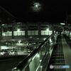 TCo[Vbg DSC-V3ŎBeʐ^