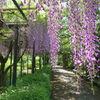 HD PENTAX-D FA 21mmF2.4ED Limited DC WR [ubN]ŎBeʐ^