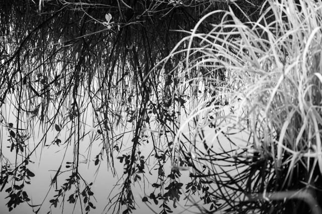 菅生沼 by 1197 (ID:12103829) 写真共有サイトPHOTOHITO