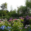 FinePix Z90 [ubN]ŎBeʐ^