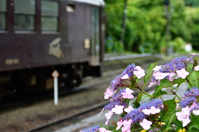 人と写真をつなぐ場所                        こうさん                ファン登録        沢入駅①コメント0件同じタグが設定されたこうさんさんの作品最近お気に入り登録したユーザータグ撮影情報EXIFデータ撮影地