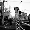 tHNg_[ HELIAR Vintage Line 50mm F3.5ŎBeʐ^