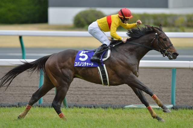 2014 高松宮記念 コパノリチャード by nabe0102 （ID：3255227） 写真共有サイトPHOTOHITO