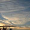 PowerShot A460ŎBeʐ^