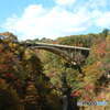 FinePix S602ŎBeʐ^
