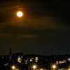 tWmY XC16-50mmF3.5-5.6 OIS II [Vo[]ŎBeʐ^