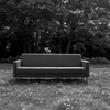 PENTAX K-3 Mark III Monochrome {fBŎBeʐ^