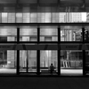 SUMMILUX-M 50 mm f/1.4 ASPH [Vo[]ŎBeʐ^