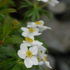 LUMIX DMC-GF6 {fBŎBeʐ^