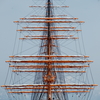 AFY[75-300mmF4.5-5.6(D) (ubN)ŎBeʐ^
