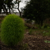 AF35mmF1.4G NEWŎBeʐ^