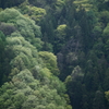 nCXs[hAFA|eY[80-200mmF2.8GŎBeʐ^