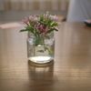 LUMIX DMC-G3 {fBŎBeʐ^
