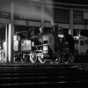 LUMIX DMC-FX30ŎBeʐ^