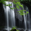 APO 50-150mm F2.8 II EX DC HSM (y^bNXp)ŎBeʐ^