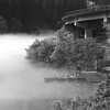 OLYMPUS PEN Lite E-PL3 _uY[LbgŎBeʐ^