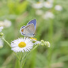 HD PENTAX-DA 20-40mmF2.8-4ED Limited DC WR [ubN]ŎBeʐ^