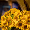 smc PENTAX-D FA }N 100mm F2.8 WRŎBeʐ^