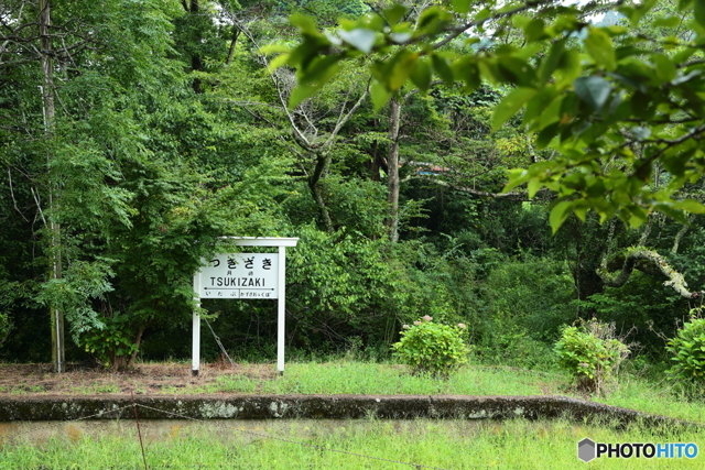 登録有形文化財のホーム by 湘南シーガルズ （ID：12536401） 写真共有サイトPHOTOHITO