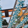 EF24-85mm F3.5-4.5 USMŎBeʐ^
