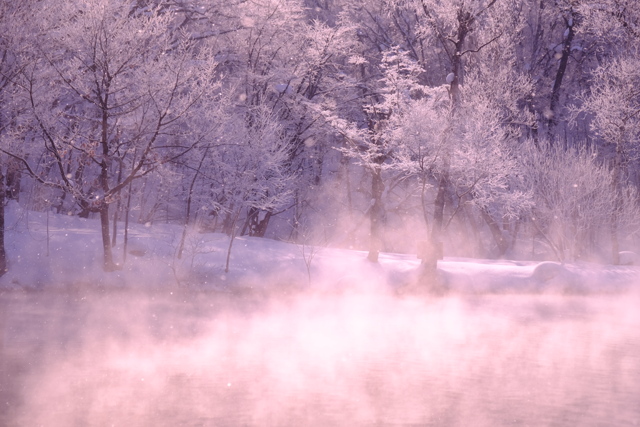 朝霧の中で by P&F (ID:12338531) 写真共有サイトPHOTOHITO