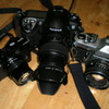 CAMEDIA FE-3010ŎBeʐ^