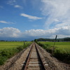 LUMIX S 24-60 mm F2.8 S-E2460ŎBeʐ^