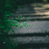 Y~bNXM f1.4/50mm ASPH. 11729 [Vo[]ŎBeʐ^