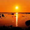 LUMIX DMC-GH1K YLbgŎBeʐ^