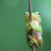 SP AF 180mm F/3.5 Di LD [IF] MACRO 1:1 (Model B01) (ݗp)ŎBeʐ^