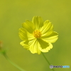 PENTAX K-3 18-135WR YLbgŎBeʐ^