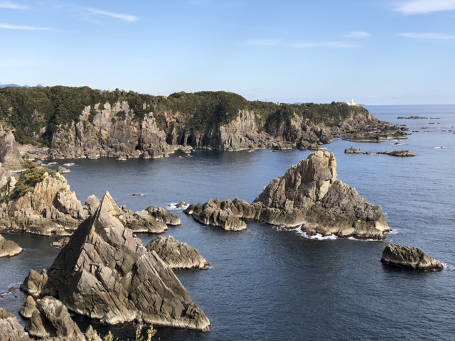 海金剛 by こまつな (ID:7444577) 写真共有サイトPHOTOHITO