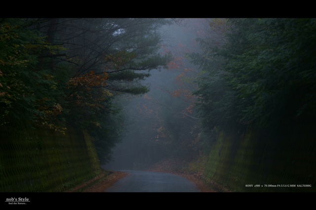 いこかもどろか。。。 by 之 武 (ID:2295880) 写真共有サイトPHOTOHITO