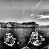 8mm F2.8 UMC FISH-EYE II ubN [tWtCp]ŎBeʐ^