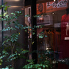 tHNg_[ HELIAR 50mm F2ŎBeʐ^