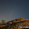 EF24mm F2.8ŎBeʐ^