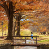 35-150mm F/2-2.8 Di III VXD (Model A058)で撮影した写真