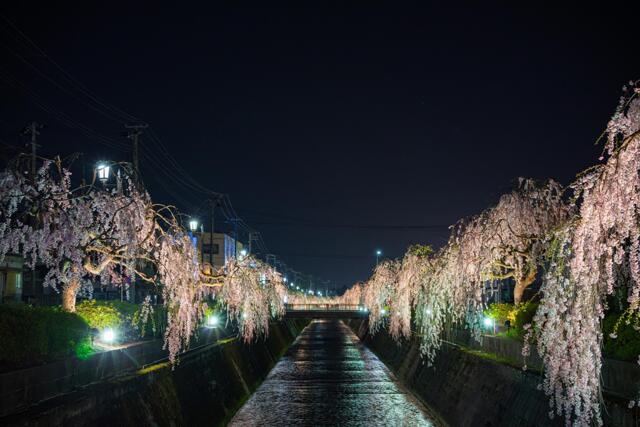 倉津川② by clair (ID:11046459) 写真共有サイトPHOTOHITO