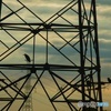 LUMIX DMC-FZ28ŎBeʐ^