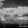 PowerShot A710 ISŎBeʐ^