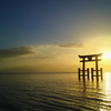 AQUOS K SHF31 [ubN]ŎBeʐ^